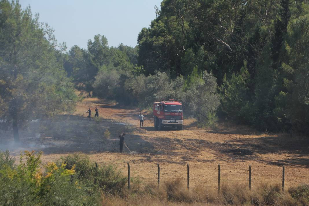 Otluk alanda başladı orman ve seralara sıçradı - Resim: 13